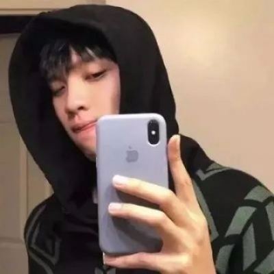 Furry插画风格打造福瑞群